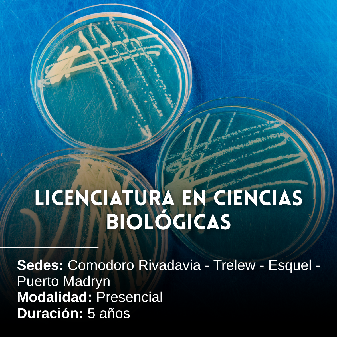 Licenciatura en Ciencias Biológicas: 5 años, Presencial, Comodoro Rivadavia, Trelew, Esquel y Puerto Madryn