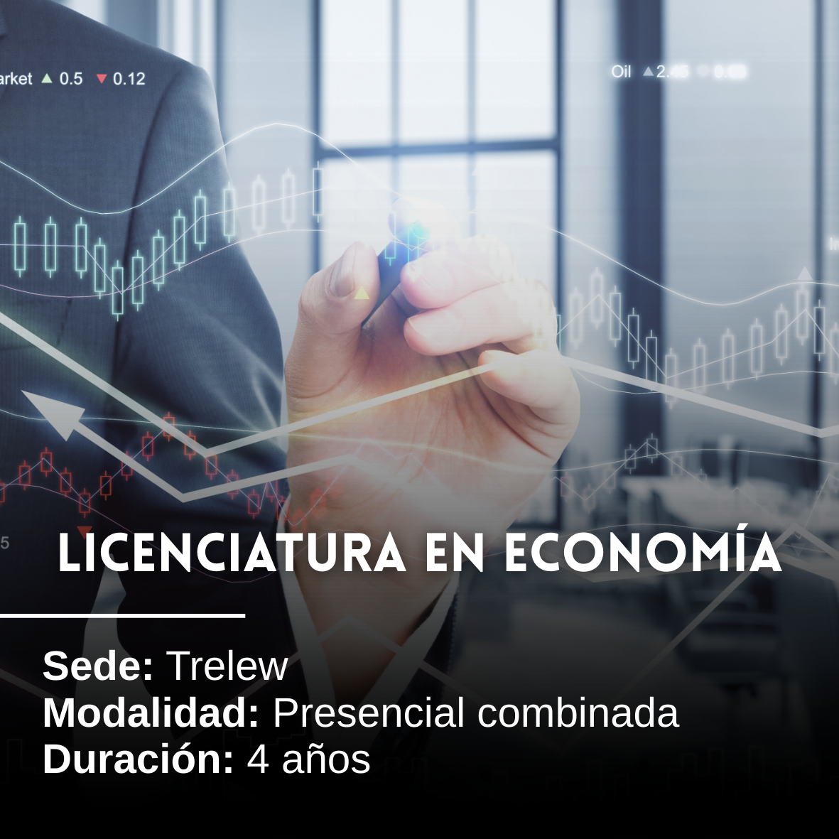 Licenciatura en Economía: 4 años, Presencial combinada, Trelew