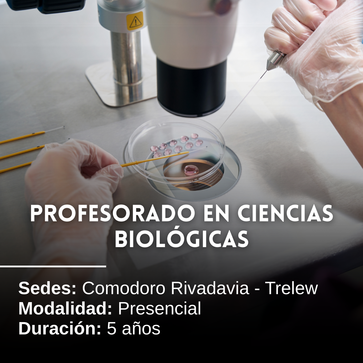 Profesorado en Ciencias Biológicas: 5 años, Presencial, Comodoro Rivadavia y Trelew
