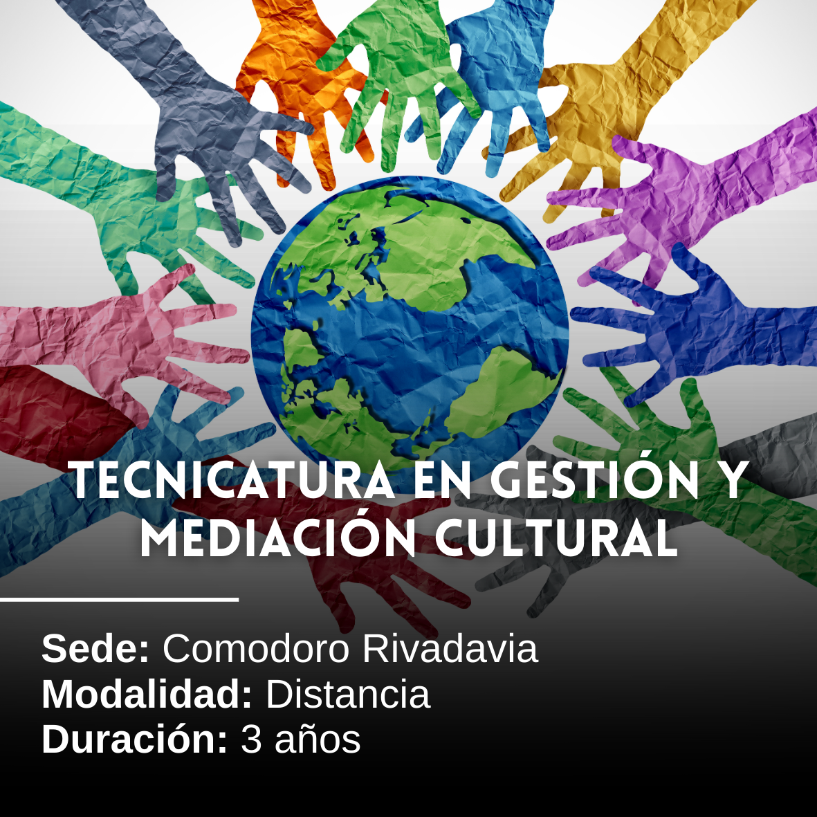 Tecnicatura en Gestión y Mediación Cultural: 3 años, Distancia, Comodoro Rivadavia
