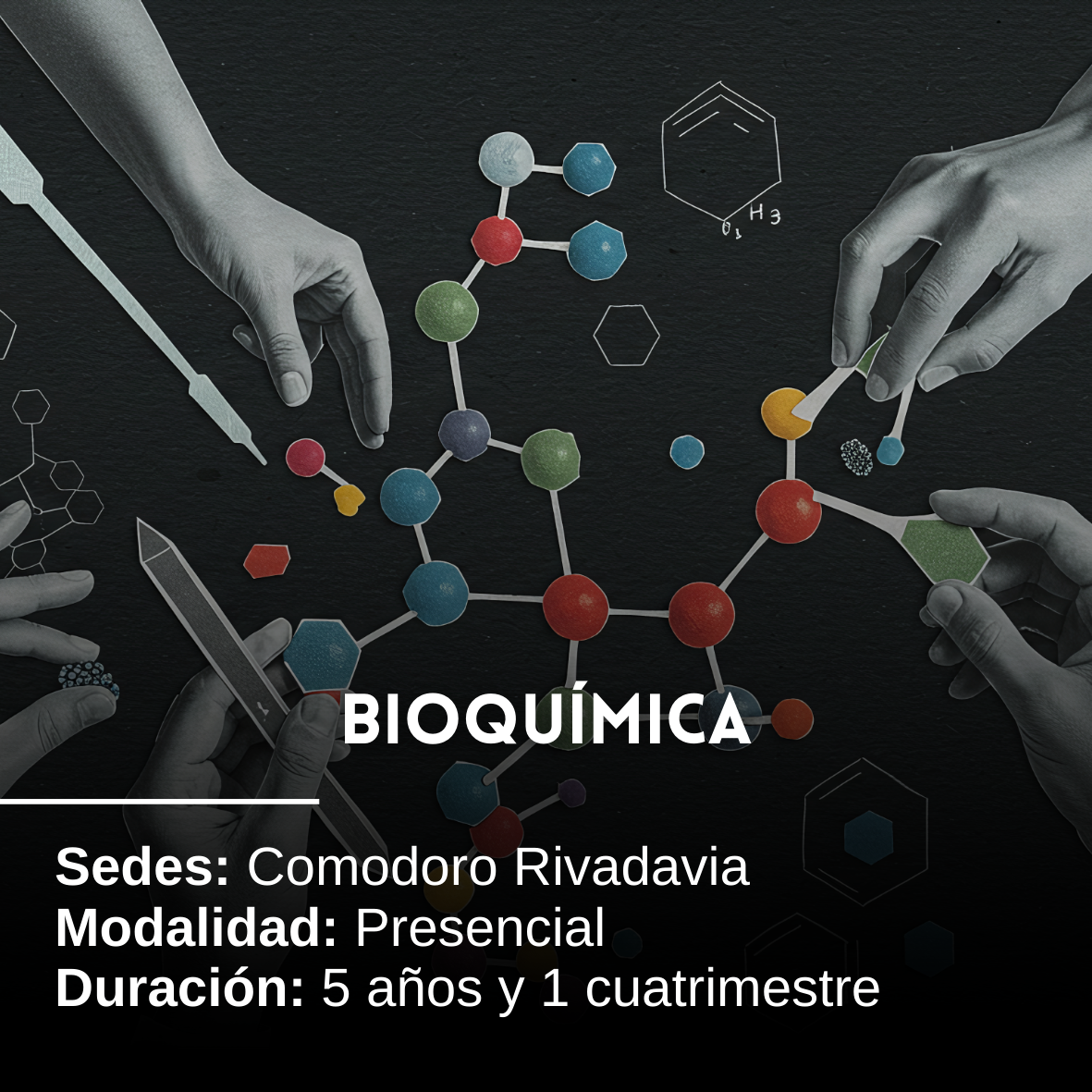 Bioquímica: 5 años + 1 cuatrimestre, Presencial, Comodoro Rivadavia
