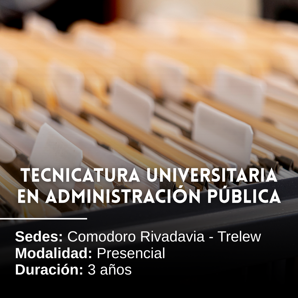 Tecnicatura Universitaria en Administración Pública: 3 años, Presencial, Comodoro Rivadavia y Trelew