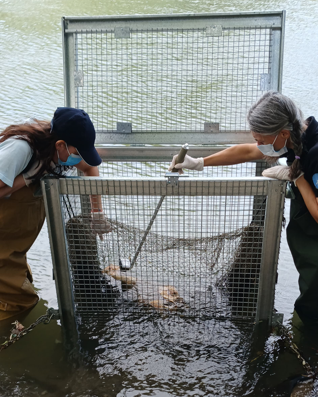BiologaForenseunestudiopioneroenelroChubut4