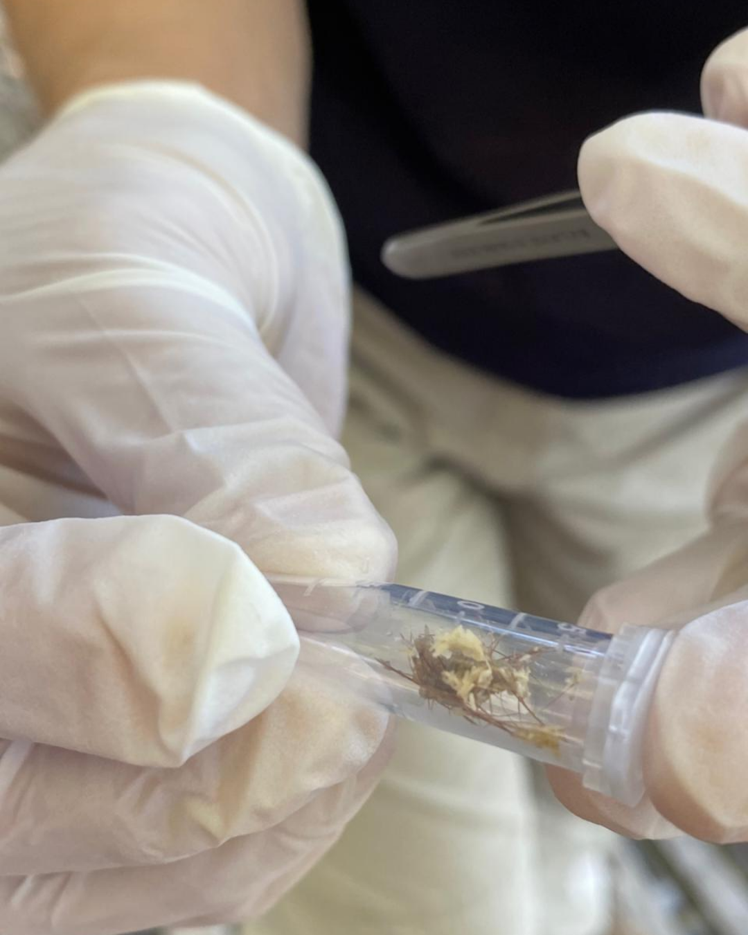 BiologaForenseunestudiopioneroenelroChubut5