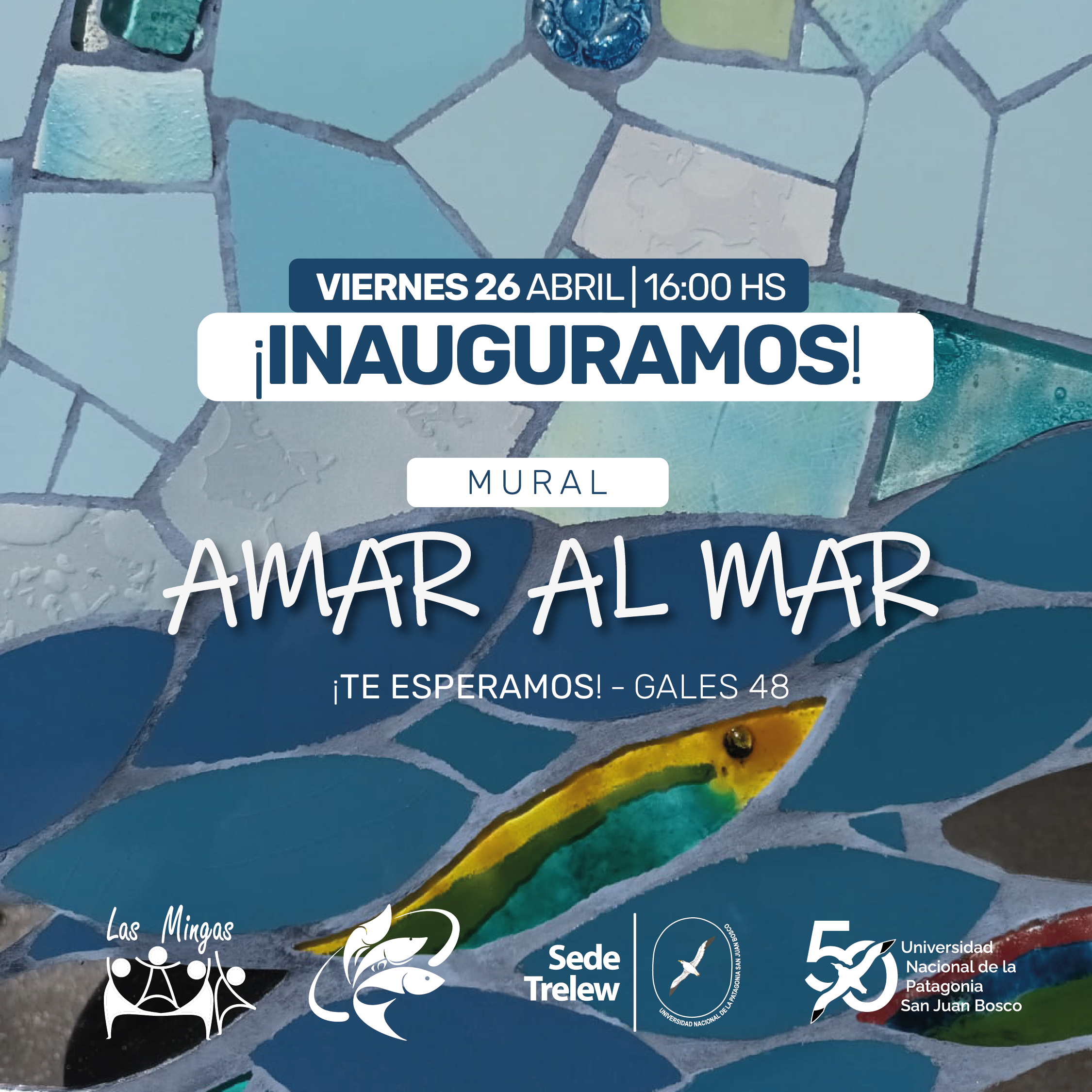 PLACA MURAL FEED MURAL